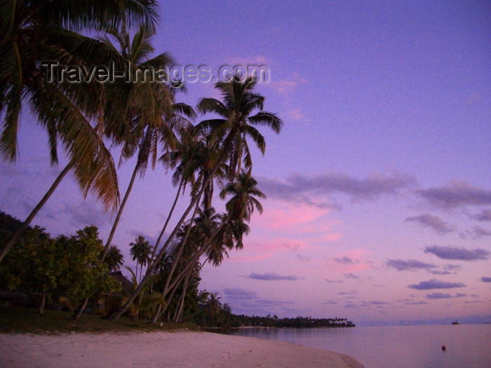 french-polynesia117: French Polynesia - Moorea / MOZ (Society islands, iles du vent): palms and lagoon at dusk - photo by R.Ziff - (c) Travel-Images.com - Stock Photography agency - Image Bank