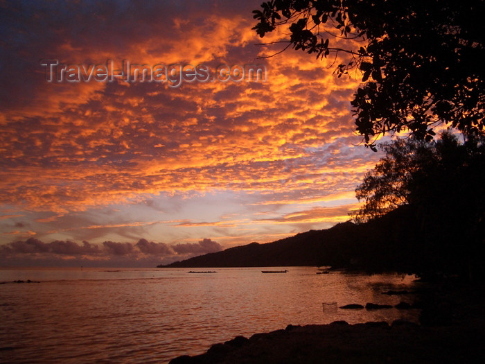 french-polynesia120: French Polynesia - Moorea / MOZ (Society islands, iles du vent): red sky - photo by R.Ziff - (c) Travel-Images.com - Stock Photography agency - Image Bank