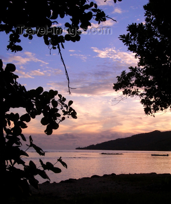 french-polynesia122: French Polynesia - Moorea / MOZ (Society islands, iles du vent): bay - photo by R.Ziff - (c) Travel-Images.com - Stock Photography agency - Image Bank