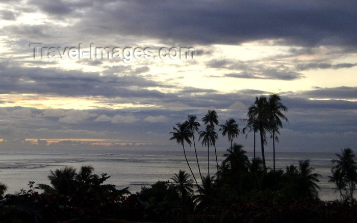 french-polynesia124: French Polynesia - Moorea / MOZ (Society islands, iles du vent): palms at dusk - Pacific ocean - photo by R.Ziff - (c) Travel-Images.com - Stock Photography agency - Image Bank