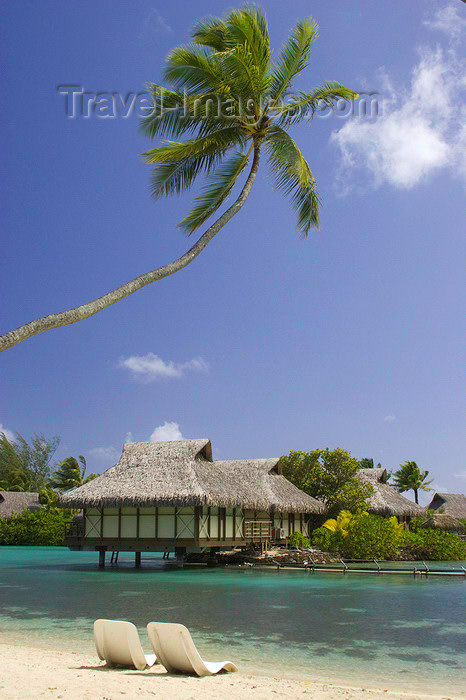 french-polynesia19: Papetoai, Moorea, French Polynesia: InterContinental Hotel - beach chairs and overwater bungalows - tropical resort - photo by D.Smith - (c) Travel-Images.com - Stock Photography agency - Image Bank