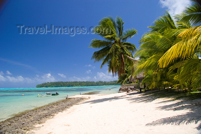 french-polynesia21: Papetoai, Moorea, French Polynesia: perfect South Seas beach - photo by D.Smith - (c) Travel-Images.com - Stock Photography agency - Image Bank