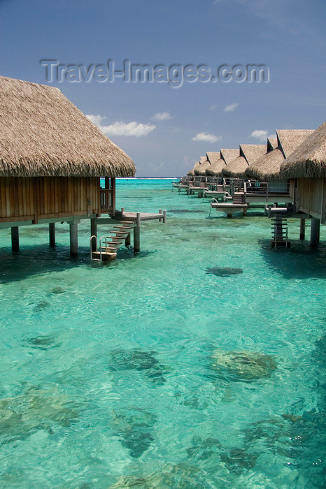 french-polynesia25: Papetoai, Moorea, French Polynesia: InterContinental Hotel - overwater bungalows - emerald waters of a South Pacific Ocean lagoon - photo by D.Smith - (c) Travel-Images.com - Stock Photography agency - Image Bank