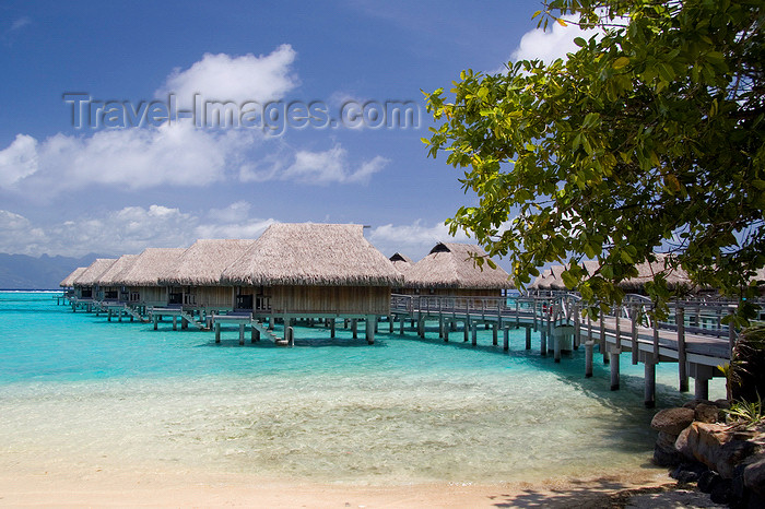 french-polynesia34: Papetoai, Moorea, French Polynesia: InterContinental Hotel - lagon and overwater bungalows - tropical resort view - photo by D.Smith - (c) Travel-Images.com - Stock Photography agency - Image Bank