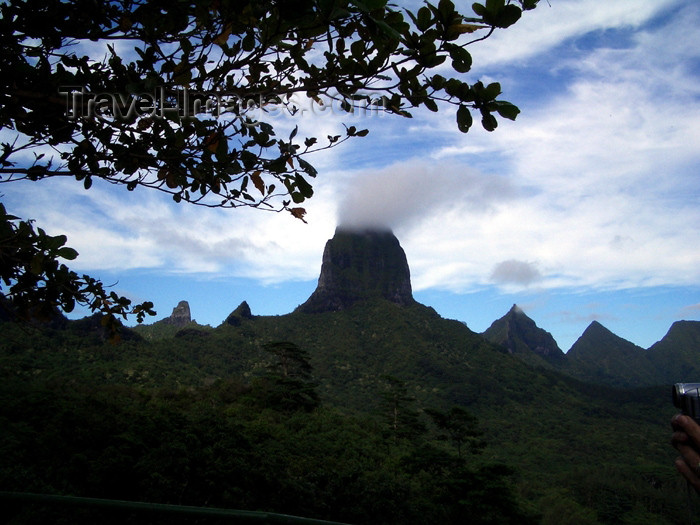 french-polynesia35: French Polynesia - Moorea / MOZ (Society islands, iles du vent): Mont Tautuapae / Mount Tautuapae - volcanic plug with vertical walls, guarded by jagged ridges - photo by R.Ziff - (c) Travel-Images.com - Stock Photography agency - Image Bank