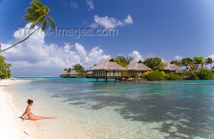 french-polynesia4: Papetoai, Moorea, French Polynesia: InterContinental Hotel - coconut tree over a perfect white sand beach with a young woman in the foreground - tropical resort - photo by D.Smith - (c) Travel-Images.com - Stock Photography agency - Image Bank