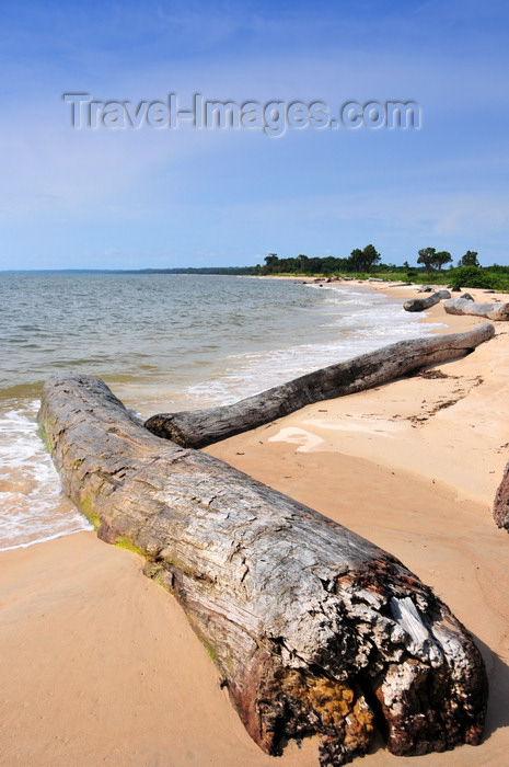 gabon1: Domaine de Nyonié, Estuaire Province, Gabon: old logs on a tranquil tropical beach - photo by M.Torres - (c) Travel-Images.com - Stock Photography agency - Image Bank