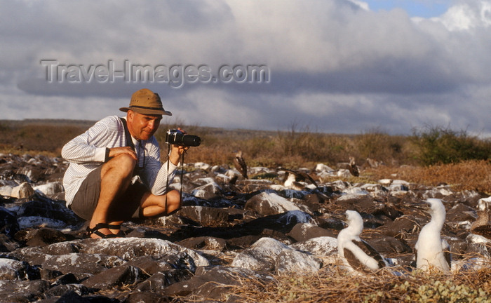 galapagos29: Isla Española / Hood Island, Galapagos Islands, Ecuador: tourist photographing Blue-footed Booby birds at close range (Sula nebouxii) - photo by C.Lovell - (c) Travel-Images.com - Stock Photography agency - Image Bank