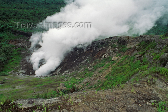 galapagos48: Isla Isabela / Albemarle island, Galapagos Islands, Ecuador: volcanic fumerole in the Alcedo crater
 - photo by C.Lovell - (c) Travel-Images.com - Stock Photography agency - Image Bank