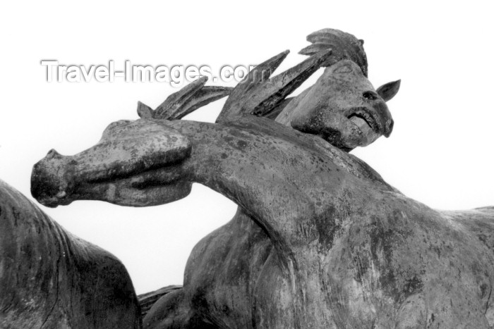 galicia40: Galicia / Galiza - Tui / Tuy (Pontevedra province): horses statue / cavalos - photo by M.Torres - (c) Travel-Images.com - Stock Photography agency - Image Bank