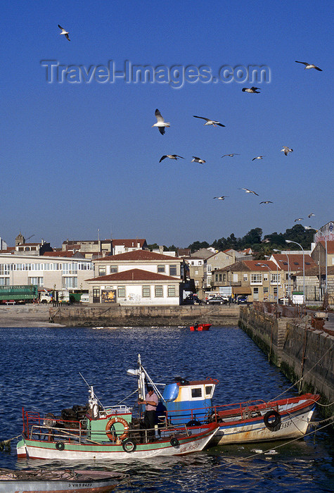 galicia43: Galicia / Galiza - Cambados, Pontevedra province: fishing boats -  Rias Baixas coast - Comarca do Salnés - photo by S.Dona' - (c) Travel-Images.com - Stock Photography agency - Image Bank