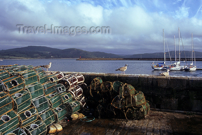 galicia46: Galicia / Galiza - Camariñas - A Coruña province: lobster traps and young seagulls - ría - Costa de la Muerte - Costa da Morte - comarca da Terra de Soneira - photo by S.Dona' - (c) Travel-Images.com - Stock Photography agency - Image Bank
