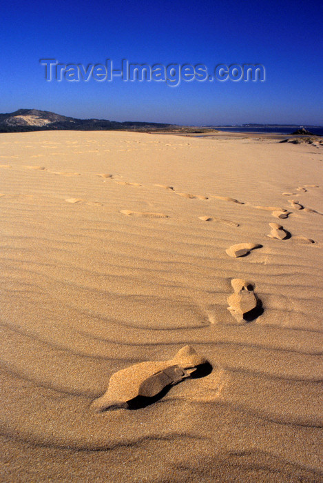 galicia54: Galicia / Galiza - Corrubedo National Park - A Coruña province: footprints on the sand dune - Barbanza Peninsula - Parque Natural Dunas de Corrubedo - Rias Baixas - photo by S.Dona' - (c) Travel-Images.com - Stock Photography agency - Image Bank