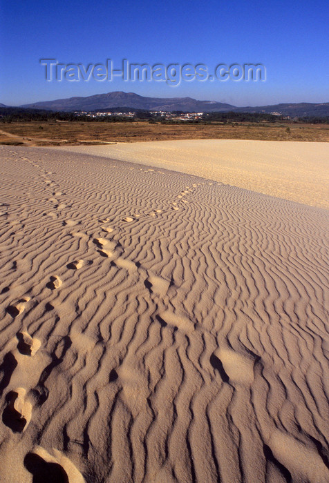 galicia55: Galicia / Galiza - Corrubedo National Park - A Coruña province: footprints on the sand dune - Parque Natural Dunas de Corrubedo - Rias Baixas - photo by S.Dona' - (c) Travel-Images.com - Stock Photography agency - Image Bank