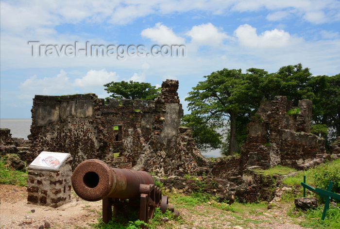 gambia101: James Island / Kunta Kinteh island, The Gambia: British 18h century cannon and the ruins of Fort James - UNESCO world heritage site - photo by M.Torres - (c) Travel-Images.com - Stock Photography agency - Image Bank