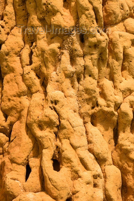 gambia112: Bakalarr, North Bank division, Gambia: detail of the brain-like surface of a reddish earth anthill - termite colony - photo by M.Torres - (c) Travel-Images.com - Stock Photography agency - Image Bank