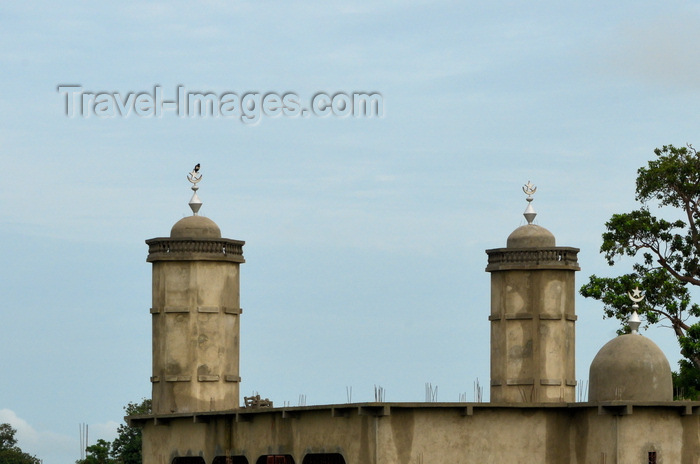 gambia116: Fass, North Bank division, Gambia: unpainted rural mosque with twin minarets and small dome - photo by M.Torres - (c) Travel-Images.com - Stock Photography agency - Image Bank