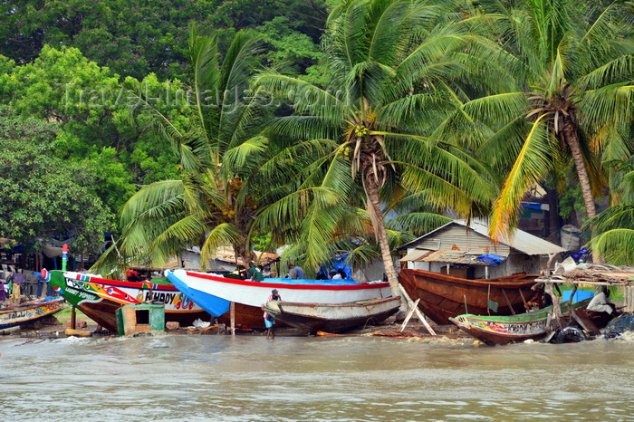 gambia28: Banjul, The Gambia: wooden fishing boats are built and repaired on the beach, under the coconut trees - photo by M.Torres - (c) Travel-Images.com - Stock Photography agency - Image Bank