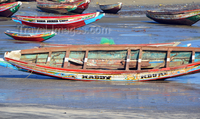 gambia70: Barra, The Gambia: low tide - traditional wooden fishing boats on the beach - north bank of the River Gambia - photo by M.Torres - (c) Travel-Images.com - Stock Photography agency - Image Bank