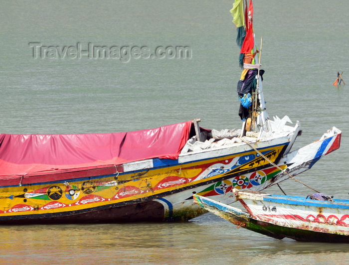 gambia81: Barra, The Gambia: colorful bows of traditional wooden fishing boats of the River Gambia estuary - photo by M.Torres - (c) Travel-Images.com - Stock Photography agency - Image Bank