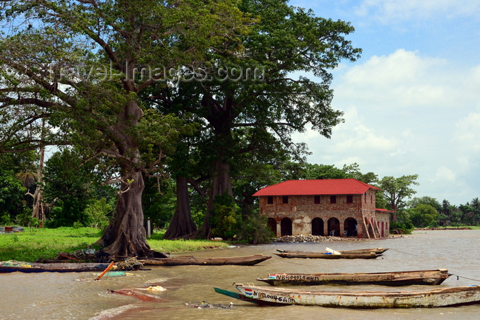 gambia90: Albreda, Gambia: boats, cotton trees and the old French trading post by the Gambia river, CFAO Building - the Albreda / Jufureh area was a French enclave from1681 till 1857 - UNESCO World Heritage Site - photo by M.Torres - (c) Travel-Images.com - Stock Photography agency - Image Bank