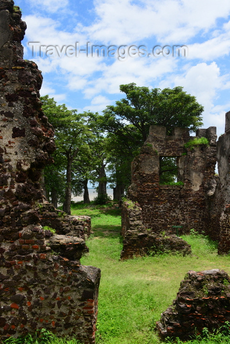 gambia94: James Island / Kunta Kinteh island, The Gambia: Fort James' ruined walls and baobabs - UNESCO world heritage site, famous after Alex Haley's book "Roots" for its role in the triangular slave trade - photo by M.Torres - (c) Travel-Images.com - Stock Photography agency - Image Bank