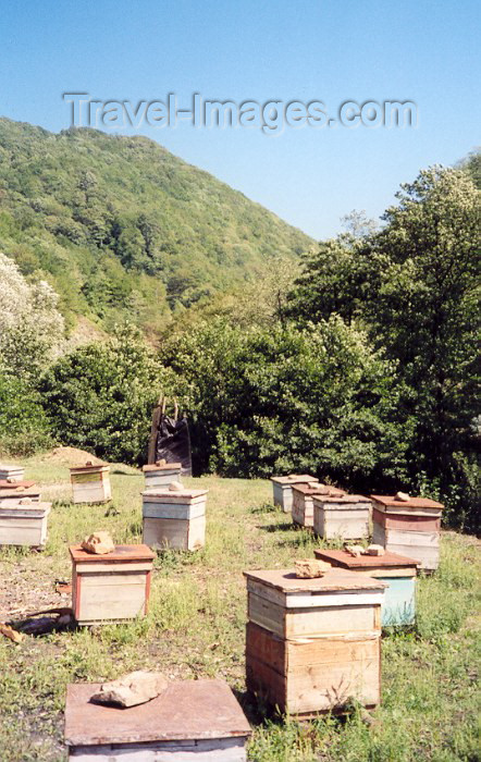 georgia38: Georgia - Shida Kartli region: beehives outside Gori - photo by M.Torres - (c) Travel-Images.com - Stock Photography agency - Image Bank