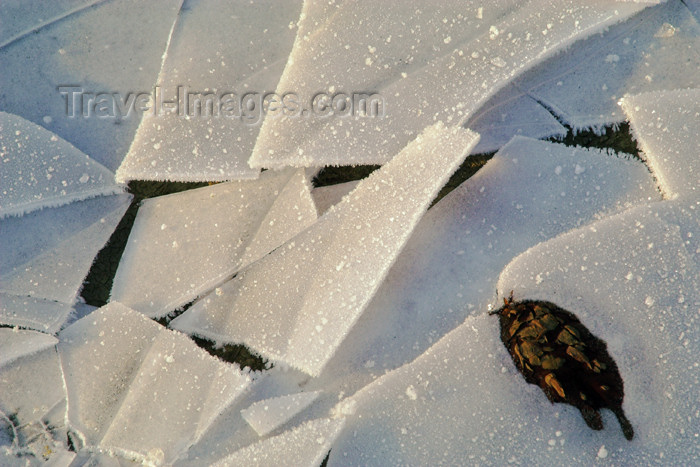 germany262: Germany - Berlin: ice floe / Eis,Eisscholle,frozen,Ice,Jahreszeit,Schnee,Season,snow,weather,Wetter,Winter - photo by W.Schmidt - (c) Travel-Images.com - Stock Photography agency - Image Bank