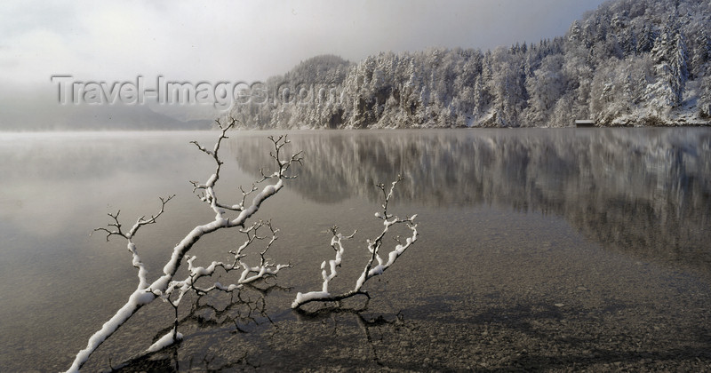 germany319: Germany - Bavaria - Ostallgäu district: Alpsee in the winter - lake scene - photo by W.Algöwer - (c) Travel-Images.com - Stock Photography agency - Image Bank