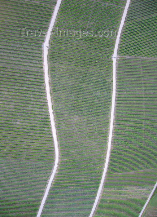 germany358: Würzburg Kreis, Lower Franconia, Bavaria, Germany: vineyards outside Eibelstadt - from the air - photo by D.Steppuhn - (c) Travel-Images.com - Stock Photography agency - Image Bank