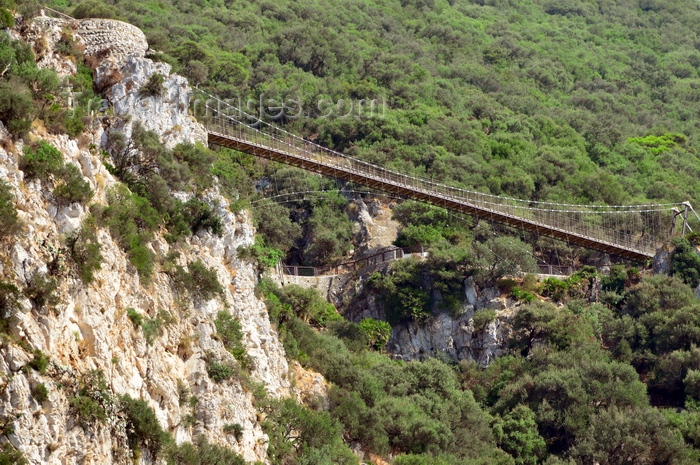 gibraltar65: Gibraltar: Windsor Suspension Bridge - Queens Road, Upper Rock area - Royal Anglian way - photo by M.Torres - (c) Travel-Images.com - Stock Photography agency - Image Bank