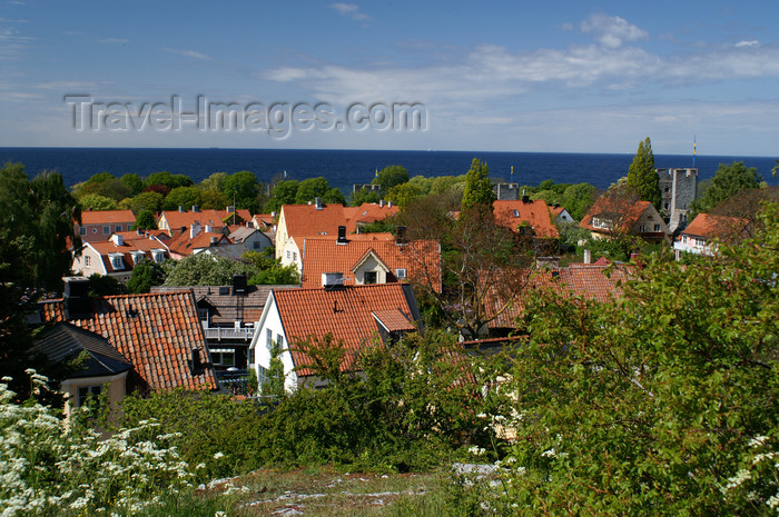 gotland110: Gotland - Visby: rooftops - view over the old Visby from Sankta Maria Cathedral  - photo by A.Ferrari - (c) Travel-Images.com - Stock Photography agency - Image Bank