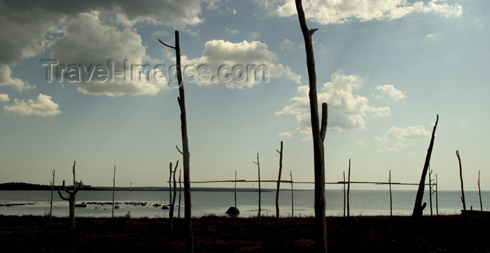 gotland16: Sweden - Gotland / Gotlands län - Fårö island: looking at the Baltic sea - fishing village - photo by C.Schmidt - (c) Travel-Images.com - Stock Photography agency - Image Bank