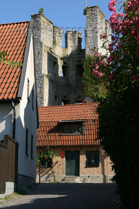 gotland19: Gotland island - Visby: tower on the ramparts / torn pa det ramparts - photo by C.Schmidt - (c) Travel-Images.com - Stock Photography agency - Image Bank
