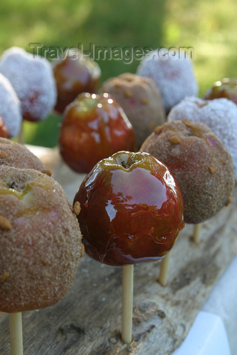 gotland20: Gotland island - Visby: cinnamon apples / kanel äpplen (photo by Cornelia Schmidt) - (c) Travel-Images.com - Stock Photography agency - Image Bank