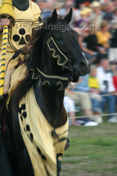 gotland23: Sweden - Gotland island / Gotlands län - Visby: horse - medieval week - knight - photo by C.Schmidt - (c) Travel-Images.com - Stock Photography agency - Image Bank