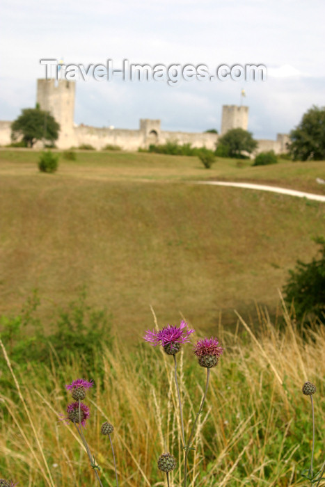 gotland26: Gotland island - Visby: fields and town walls / fälten och stad muren (photo by Cornelia Schmidt) - (c) Travel-Images.com - Stock Photography agency - Image Bank