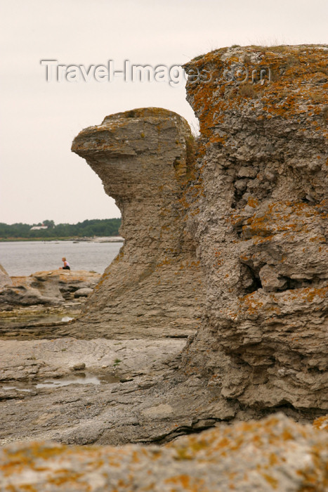 gotland43: Sweden - Gotland island / Gotlands län - Fårö island: Eagle Rock formation - photo by C.Schmidt - (c) Travel-Images.com - Stock Photography agency - Image Bank