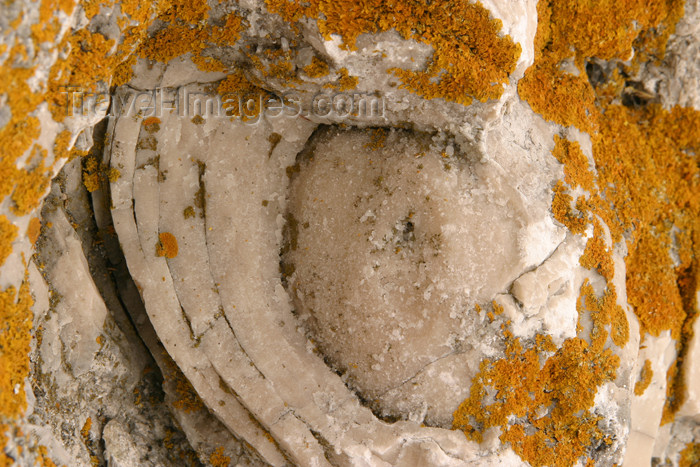 gotland44: Sweden - Gotland island / Gotlands län - eye in the stone - moss - photo by C.Schmidt - (c) Travel-Images.com - Stock Photography agency - Image Bank