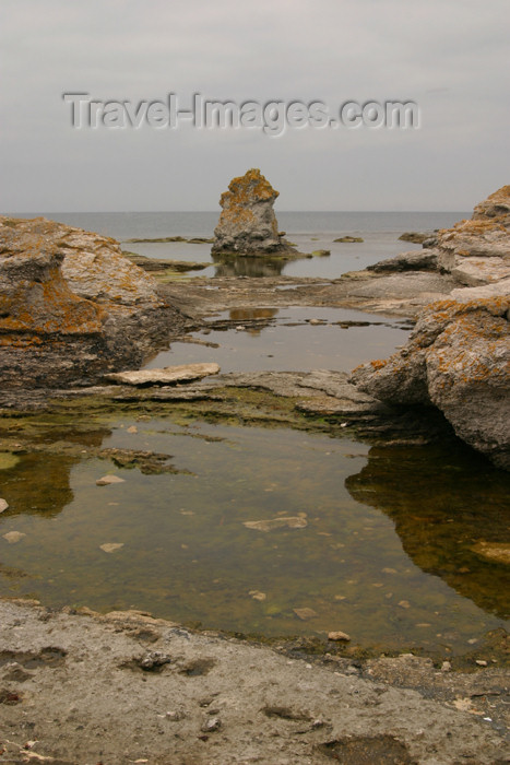 gotland45: Sweden - Gotland / Gotlands län - Fårö island: Baltic coast - puddles and limestone - photo by C.Schmidt - (c) Travel-Images.com - Stock Photography agency - Image Bank