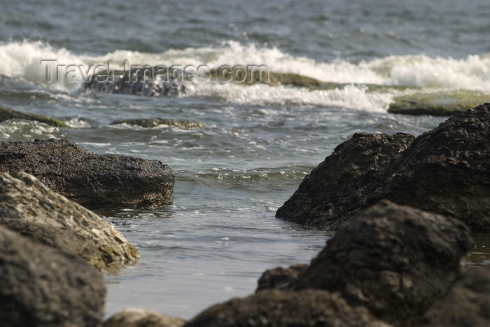 gotland5: Sweden - Gotland - Fårö island: the Baltic sea / Östersjön - coast - rocks - photo by C.Schmidt - (c) Travel-Images.com - Stock Photography agency - Image Bank