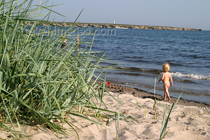 gotland52: Sweden - Gotland / Gotlands län - Fårö island: toddler / baby on the beach - seaside - photo by C.Schmidt - (c) Travel-Images.com - Stock Photography agency - Image Bank