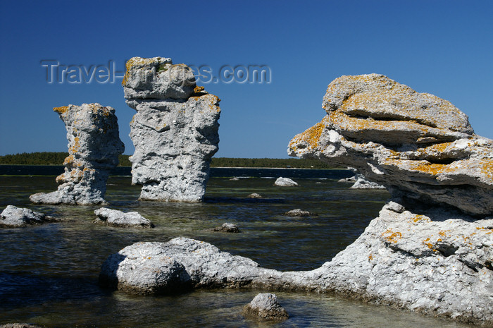 gotland56: Fårö island, Gotland, Sweden - Lauterhorn - Gamle Hamn: 'Raukar' rock formations - columns on the Baltic - photo by A.Ferrari - (c) Travel-Images.com - Stock Photography agency - Image Bank