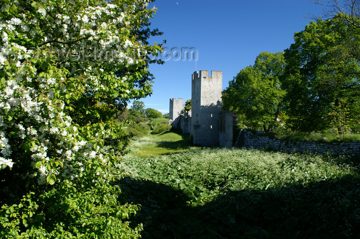 gotland83: Gotland - Visby: trees and the northern wall - ringwall - photo by A.Ferrari - (c) Travel-Images.com - Stock Photography agency - Image Bank