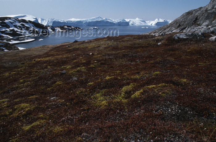 greenland56: Greenland - Illuisaat - Sermermiut, a grass-covered broad ravine - place of an early Eskimo settlement - photo by W.Allgower - (c) Travel-Images.com - Stock Photography agency - Image Bank