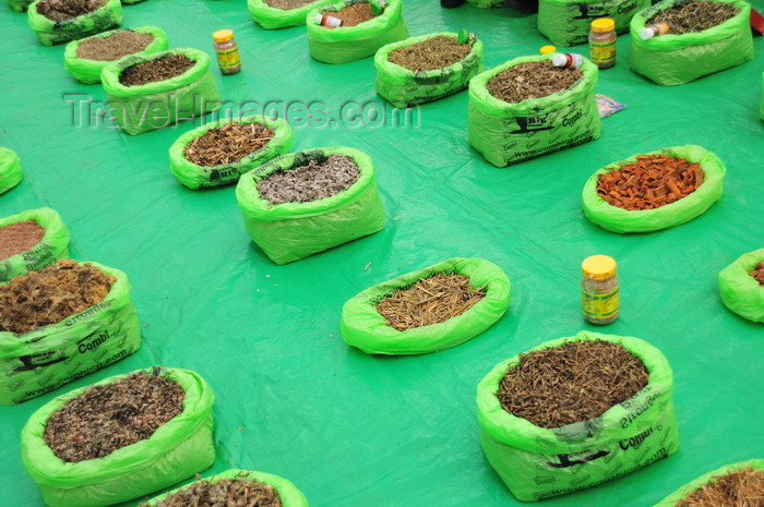 guatemala62: Ciudad de Guatemala / Guatemala city: spices for sale at Parque Central - Plaza Mayor - aligned bags - photo by M.Torres - (c) Travel-Images.com - Stock Photography agency - Image Bank