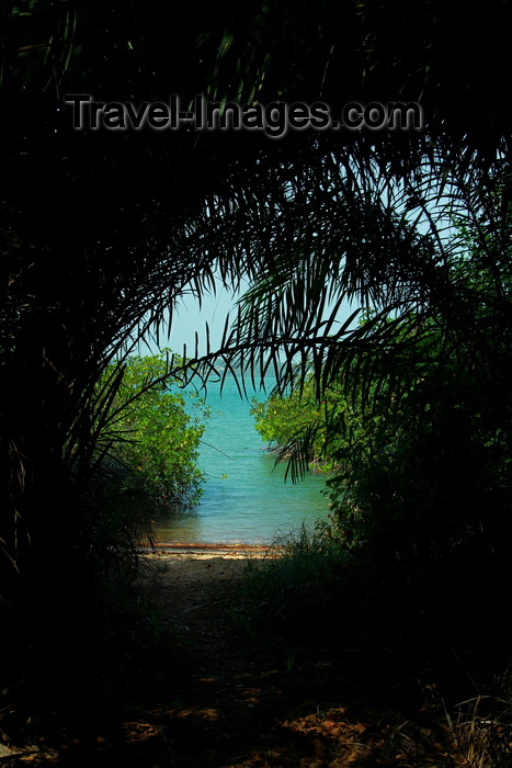 guinea-bissau123: Rubane Island, Bijagós Archipelago - UNESCO biosphere reserve, Bubaque sector, Bolama region, Guinea Bissau / Guiné Bissau: beach cove, tunnel effect through palm trees / enseada na praia, palmeiras - photo by R.V.Lopes - (c) Travel-Images.com - Stock Photography agency - Image Bank