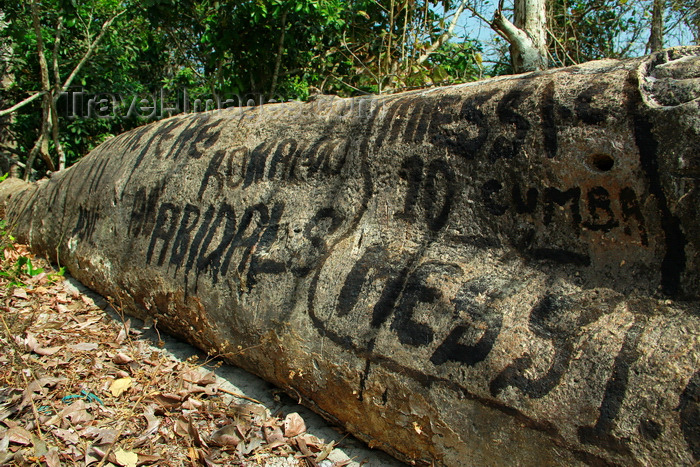 guinea-bissau142: Rubane Island, Bijagós Archipelago - UNESCO biosphere reserve, Bubaque sector, Bolama region, Guinea Bissau / Guiné Bissau: beach, tree trunk with football players names, Messi, Ronaldo, Figo / praia, árvore com nomes de jogadores de futebol - photo by R.V.Lopes - (c) Travel-Images.com - Stock Photography agency - Image Bank