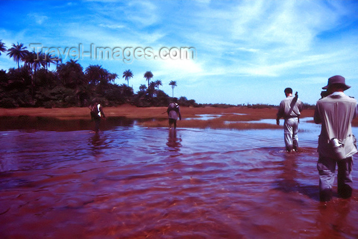 guinea-bissau15: Guinea Bissau / Guiné Bissau - Tarafes de Cacheu Natural Park mangrove swamp: in the swamps, looking for Rhinos / nos pantanos em busca de rinocerontes (foto de / photo by Dolores CM) - (c) Travel-Images.com - Stock Photography agency - Image Bank