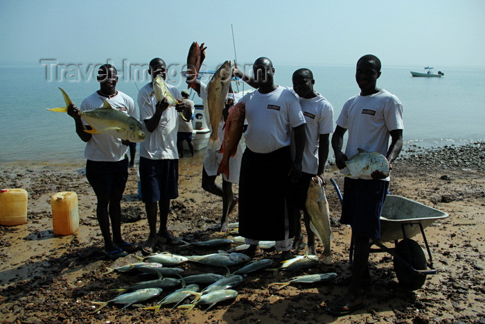 guinea-bissau153: Rubane Island, Bijagós Archipelago - UNESCO biosphere reserve, Bubaque sector, Bolama region, Guinea Bissau / Guiné Bissau: Hotel Punta Anchaca, fishermen on the beach showing the fish caught - wheelbarrow and crevalle jacks, Caranx hippos / Hotel Punta Anchaca, pescadores a mostrar o peixe apanhado, praia, barco - Xaréu-macoa - photo by R.V.Lopes - (c) Travel-Images.com - Stock Photography agency - Image Bank